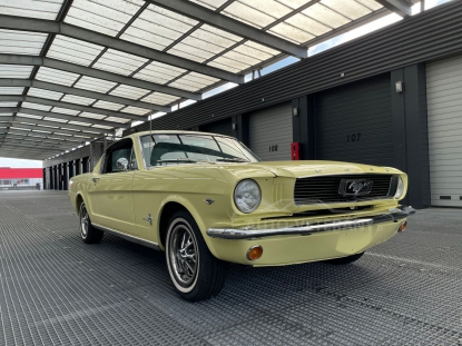 1966 Ford